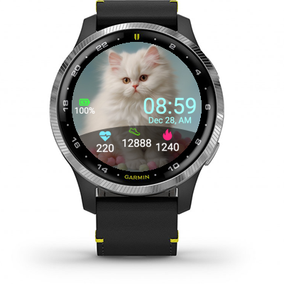 Cute cat · Screenshot 0