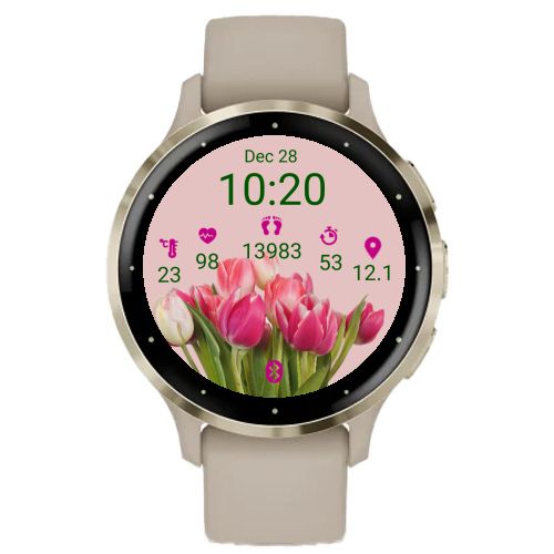 Pink Spring Tulips  3
