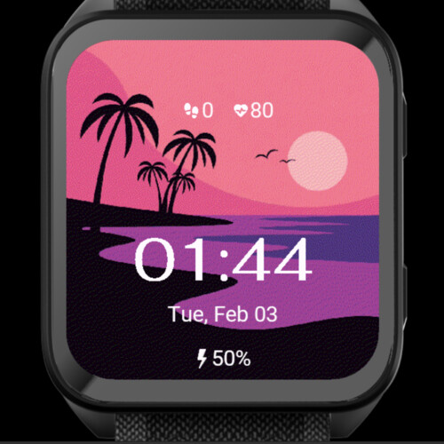 Pink Sunset Palm Beach 4