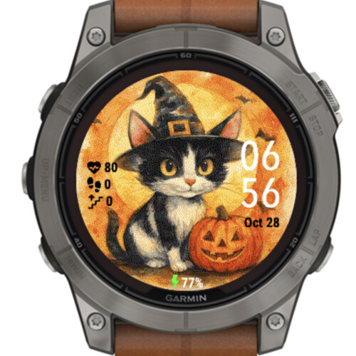 Halloween Cat and Pumpkin · Screenshot 2