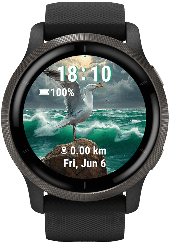 SeaBird · Screenshot 1