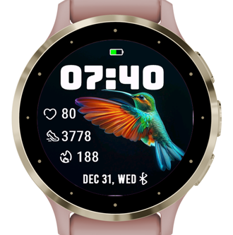 A Hummingbird · Screenshot 3