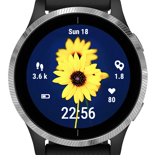 Sunflower Selfie G · Screenshot 2