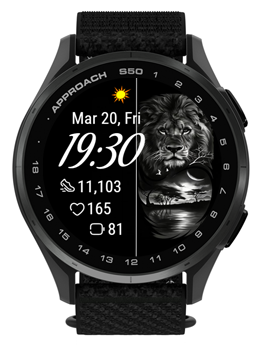 Lion Background · Screenshot 3