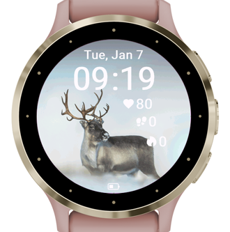 Arctic Deer · Screenshot 0