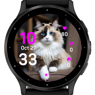Daily Cat · Screenshot 3