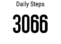 Step Session and Goal Recorder [hSteps] · Screenshot 3
