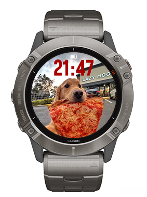 The dog eating pizza · Screenshot 1