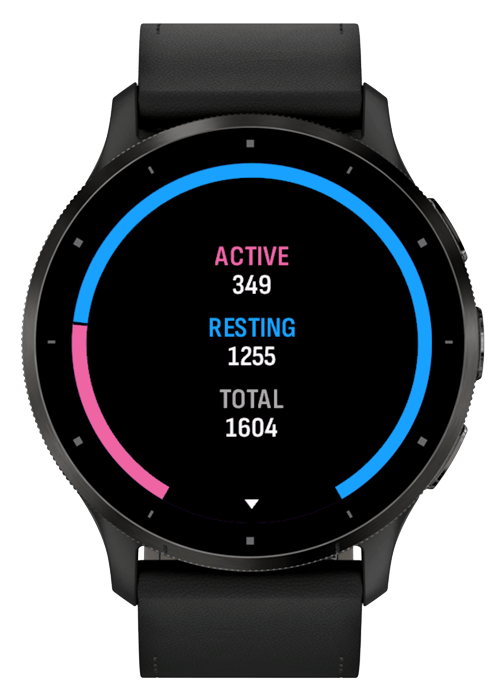 Active Calories Goal 2