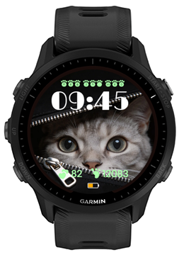 Cat Day · Screenshot 1