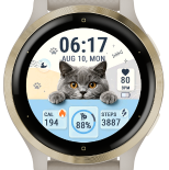 Paw Dashboard · Screenshot 0