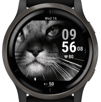 Noir Kitty · Screenshot 3