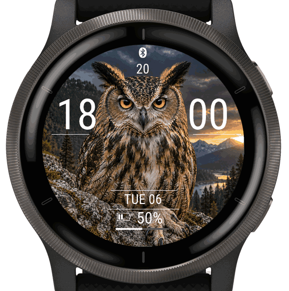 owl · Screenshot 3