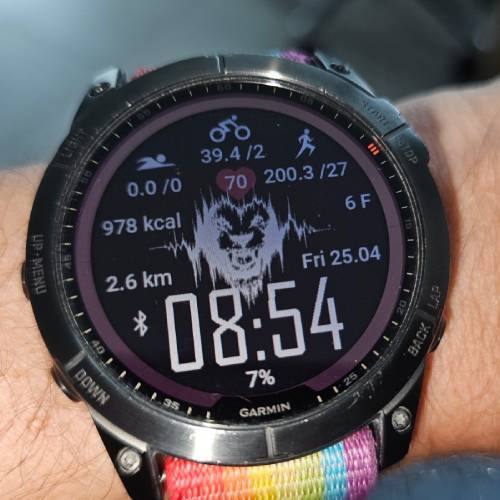 Lionheart TRI watch for triathlon fans · Screenshot 0
