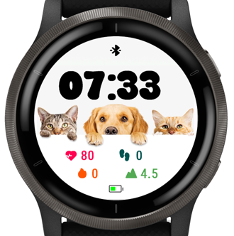 Cat And Dog · Screenshot 0