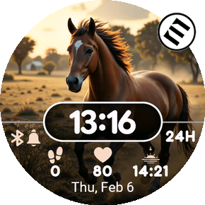 Daily Horse · Screenshot 0