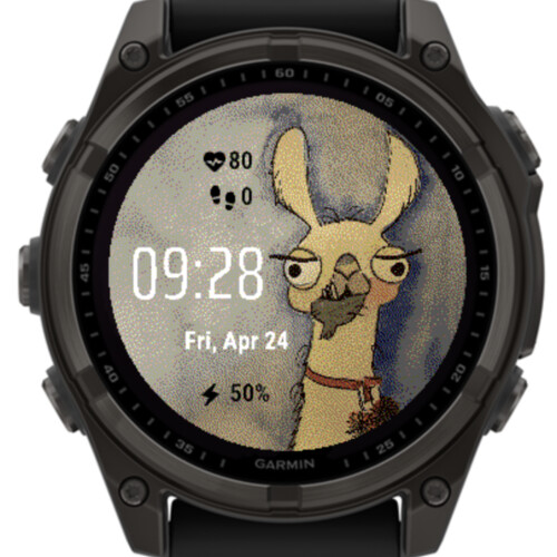 Funny Llama 5