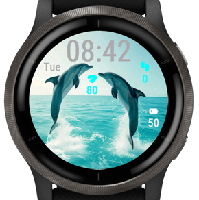 Happy Dolphins · Screenshot 2