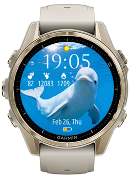 Beluga Whale · Screenshot 3
