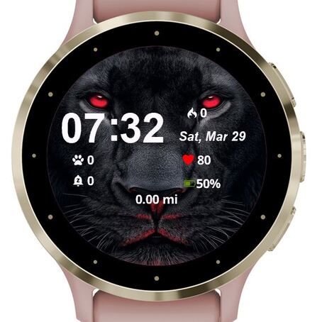 Face Lion · Screenshot 0