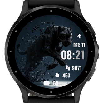 Shadow Panther · Screenshot 0