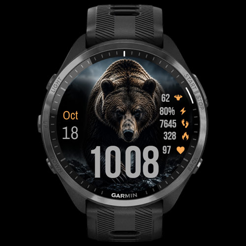 Grizzly Core · Screenshot 0