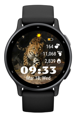 Running Leopard · Screenshot 2