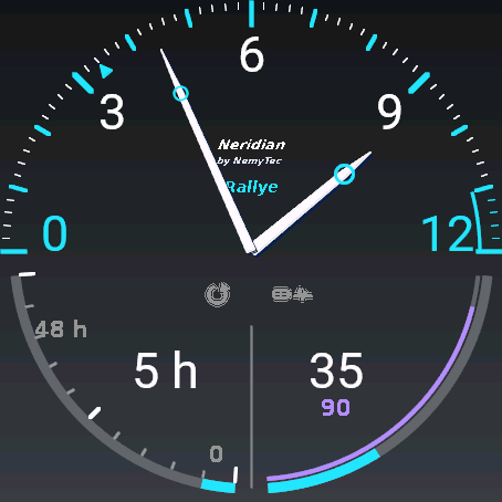 Neridian Rallye Pro – display analogico · Screenshot 0