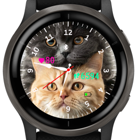 Cats · Screenshot 1