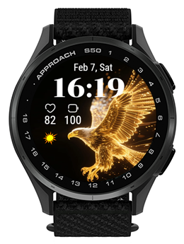 Golden Eagle · Screenshot 3