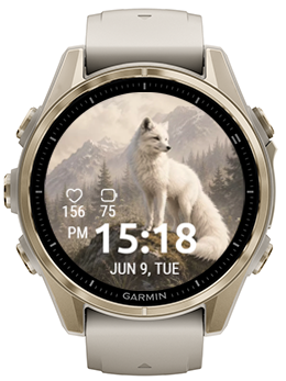 Mountain Fox · Screenshot 0