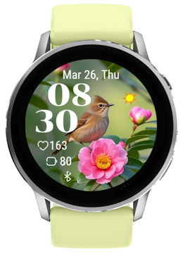 Flowers Birds · Screenshot 1