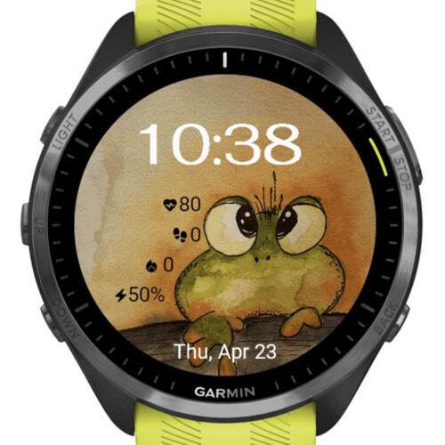 Funny Frog 4