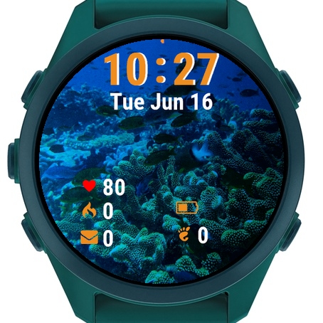 Fish Swimming Over Coral · Screenshot 2