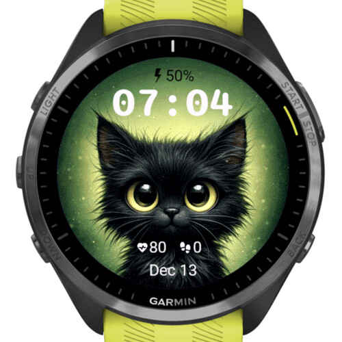 Black cat 2 · Screenshot 2
