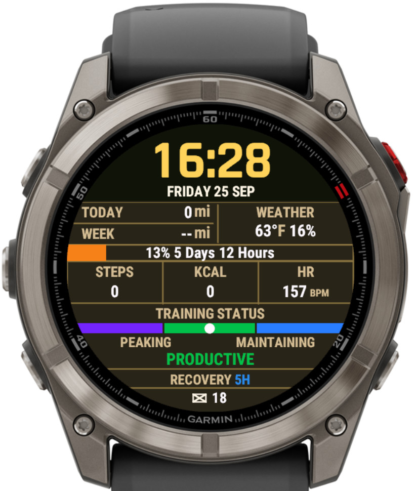 N13 Elite - Performance Dashboard Watch Face · Screenshot 3