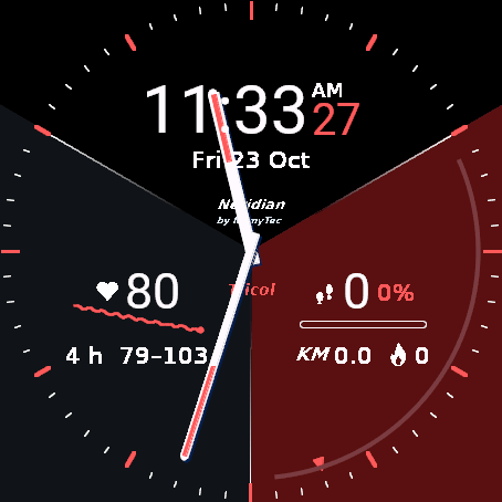 Neridian Tricol - analog display · Screenshot 2