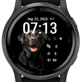 Black Dog · Screenshot 0