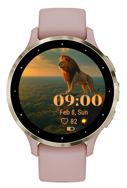 Lion Gaze · Screenshot 2