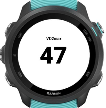 Elliptical VO2max Test (BETA) · Screenshot 0