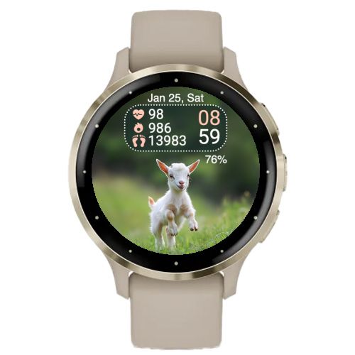 Mini Goat 3