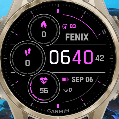 Fenix 8 Solar Like · Screenshot 3