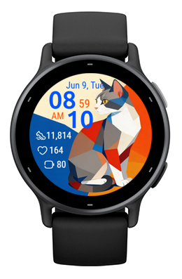 Geo Cat · Screenshot 0