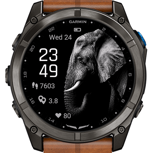 Majestic Elephant G · Screenshot 0