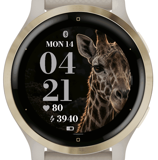 Acacia Giraffe · Screenshot 2