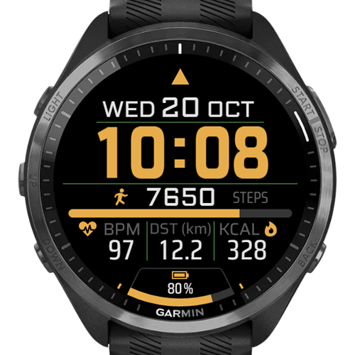 The Watch 2
