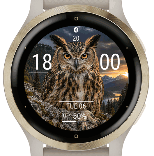 owl · Screenshot 2