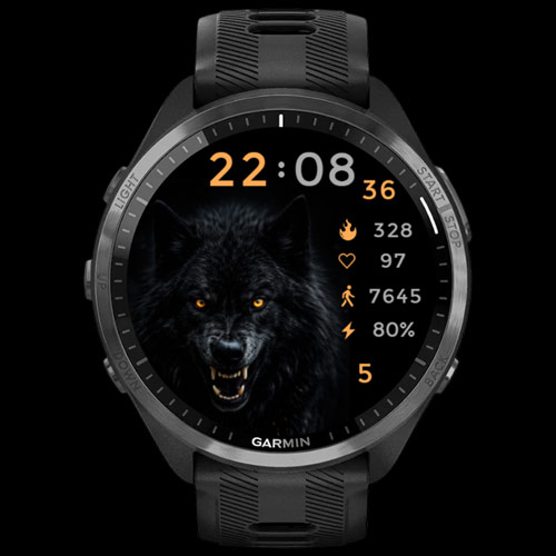 Shadow Wolf · Screenshot 2