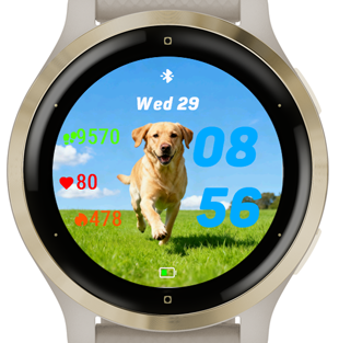 Happy Labrador · Screenshot 1