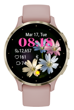 Small Chrysanthemum · Screenshot 1